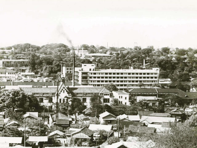 戦禍を乗り越えて