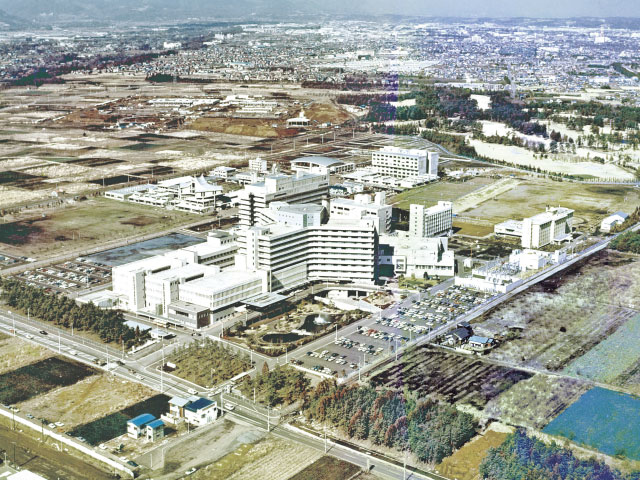 中枢機関の構築