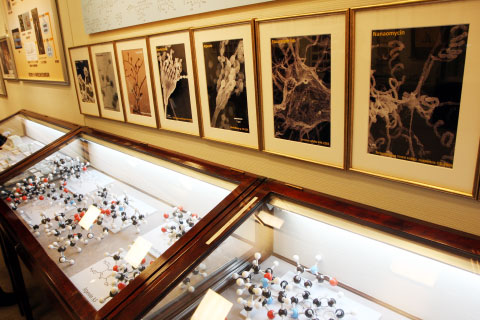 大村記念館展示室（抗生物質の分子模型や菌の電子顕微鏡写真他）