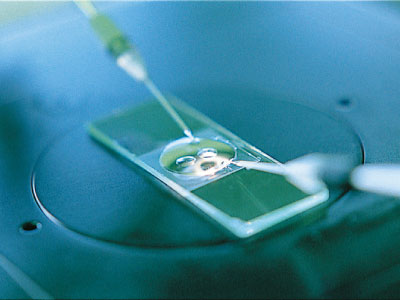 生命科学の基礎的研究 生命科学の基礎的研究