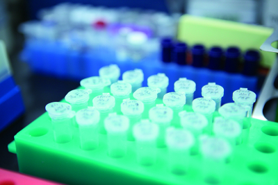 法人の取り組み_8.予防医療 法人の取り組み_8.予防医療