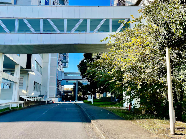 I_医学部M号館裏 I_医学部M号館裏