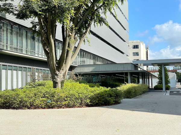 L_医療衛生学部A1号館前 L_医療衛生学部A1号館前