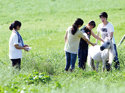 School-of-Veterinary-Medicine School-of-Veterinary-Medicine