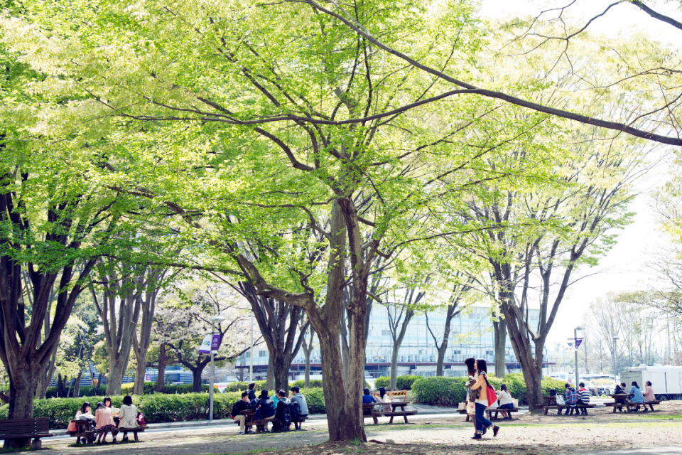campus_sagamihara2_sp campus_sagamihara2_sp