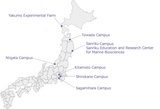 Campuses around the world_small