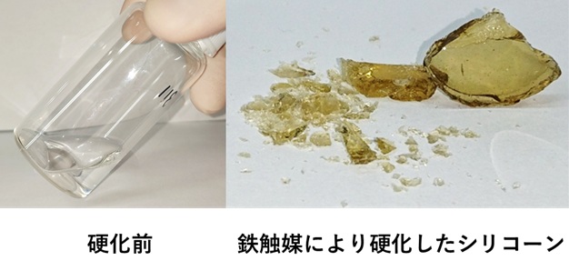 挿入図(硬化シリコーン) 挿入図(硬化シリコーン)