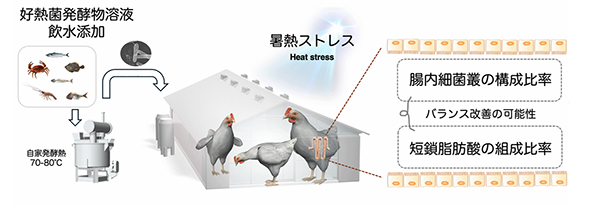 研究の概要図 研究の概要図