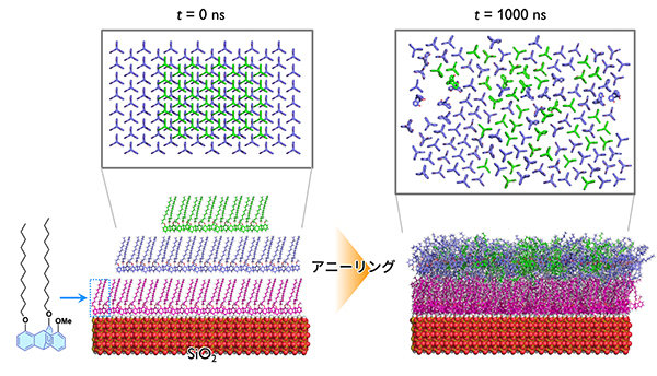 挿入図_本研究の概要図 挿入図_本研究の概要図
